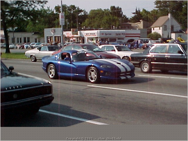blue_viper.jpg