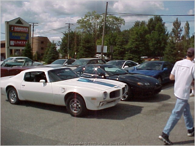 white_70s_ta.jpg