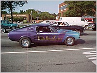 little_miss_cobra.jpg