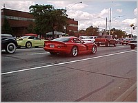 red_viper_2.jpg