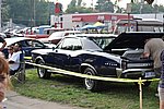 DSC_0729.JPG
