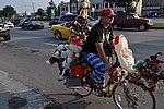 DSC_0854.JPG