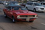 DSC_0906.JPG
