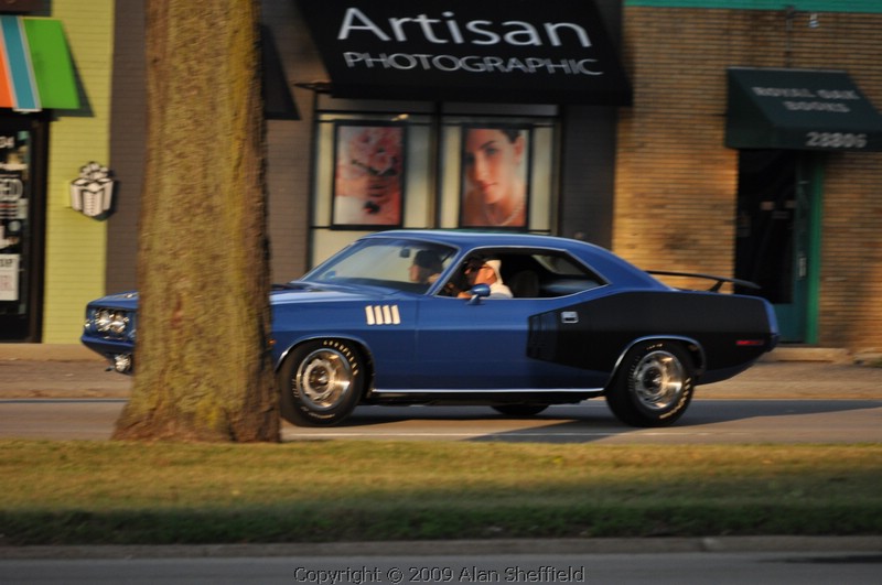 DSC_0559.JPG