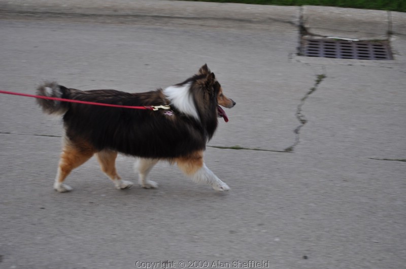DSC_0597.JPG