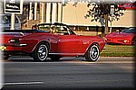 DSC_0557.JPG