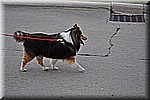 DSC_0597.JPG