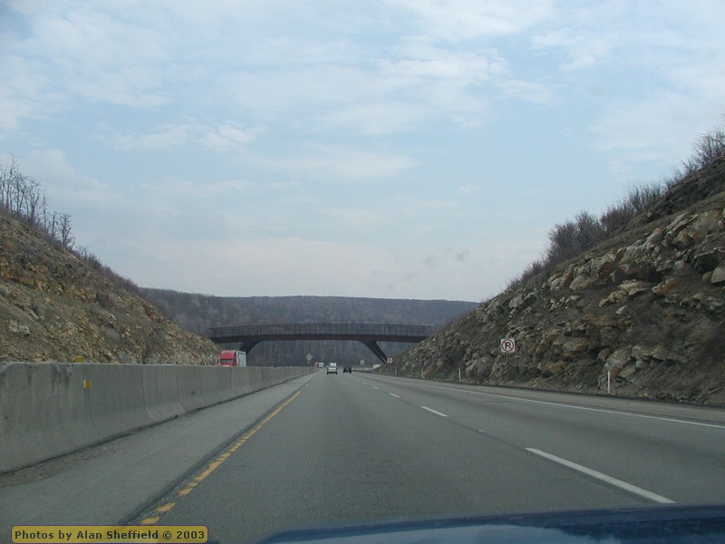 P5010381.JPG