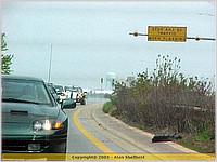 MVC-244F.JPG