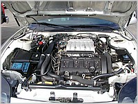 P3230300.jpg