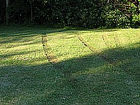 IMG_1602.JPG