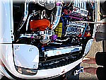 IMG_2210.JPG