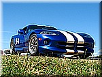 IMG_2339.JPG