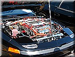 IMG_2517.JPG