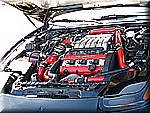 IMG_2522.JPG