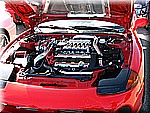 IMG_2525.JPG
