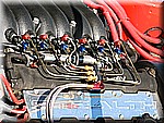 IMG_2544.JPG