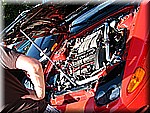 IMG_2547.JPG