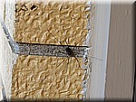 IMG_2562.JPG