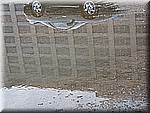 IMG_3131.JPG