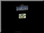 IMG_3231.JPG
