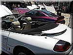 IMG_3297.JPG