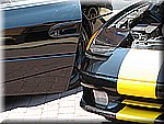 IMG_3338.JPG