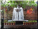 IMG_3394.JPG