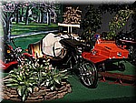 IMG_3403.JPG