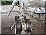 IMG_3432.JPG