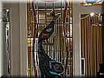 IMG_3436.JPG