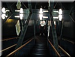 IMG_3446.JPG