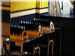 IMG_3451.JPG