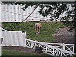 IMG_3500.JPG