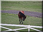 IMG_3507.JPG
