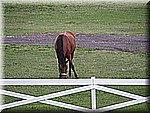 IMG_3508.JPG