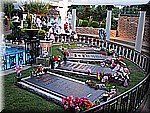 IMG_3513.JPG