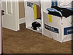 IMG_3547.JPG