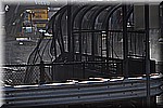 DSC_0381.JPG