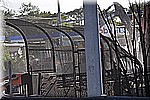 DSC_0386.JPG